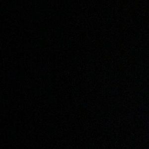 Meet your Posher, Josie